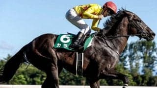 天皇賞秋に出走する15頭の馬名意味・香港馬名を紹介！ 『北橋』『傾城猛火』はどの馬？