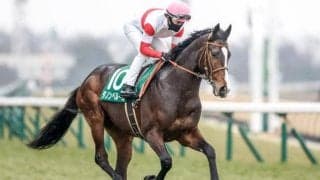 おれはやるぜ。何かを/島田明宏