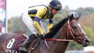 海外を転戦し重賞連勝 現役引退の古豪ステイフーリッシュの活躍をプレイバック