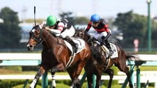 【新馬/阪神5R】ドクタードリトルが最内強襲、見事な差し切り