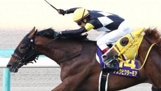 【菊花賞】田辺「勝ちに動いていった」アスクビクターモアがラスト1冠を制する