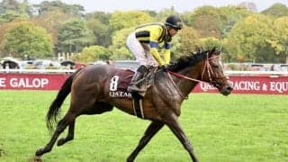 ステイフーリッシュが競走馬登録抹消