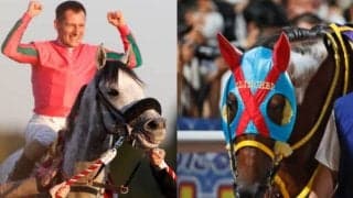 東京大賞典4連覇のオメガパフュームが秋始動戦 古豪や新星入り乱れる好メンバー19頭がみやこSに登録予定