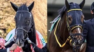 昨年末にGI制した3歳馬が古馬と初対決 アルゼンチン共和国杯の出走想定馬21頭