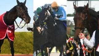 三冠牝馬、前年覇者、秋華賞馬など21頭が集結 エリザベス女王杯の出走想定馬＆騎手