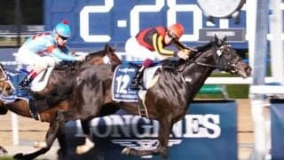 【天皇賞・秋】シャフリヤールは5枠8番へ