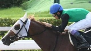 クリノドラゴンが繰り上がり武豊騎手とJBCクラシック参戦 父の産駒総数はわずか25頭