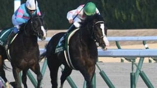 【スワンS予想】昨年同様に阪神で開催。内回りコースで後方追走は苦戦必至？