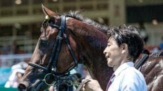 【今日の注目ポイント】阪神でマイルCS前哨戦のスワンS、東京ではアルテミスS