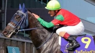 好メンバー集った天皇賞・秋。穴党記者は東京コースで「一発ある」伏兵２頭に高配当の夢を託す