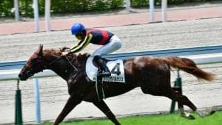 GI・4勝をあげた名牝の全弟がダートで初勝利 後続に2馬身差の快勝