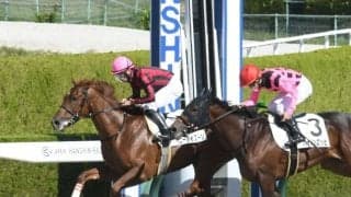 【阪神4R新馬戦結果】ヘニータイフーンが差し切って人気に応える