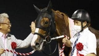 【盛岡・JBCレディスクラシック枠順確定】ショウナンナデシコは2枠2番、グランブリッジは7枠9番