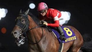 【盛岡・JBCスプリント枠順確定】レッドルゼルは1枠1番、テイエムサウスダンは8枠13番