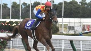 【盛岡・JBCクラシック枠順確定】テーオーケインズは7枠13番、メイショウハリオは4枠6番