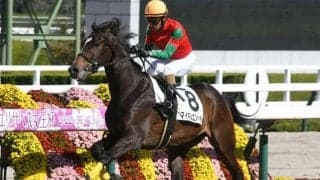 【阪神5R新馬戦結果】ユーバーレーベンの弟マイネルエンペラーが最内から抜け出して勝利