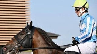 地方からの移籍馬がJRA2戦目で5馬身差圧勝！ 特別戦で一度も先頭譲らず逃げ切り勝ち