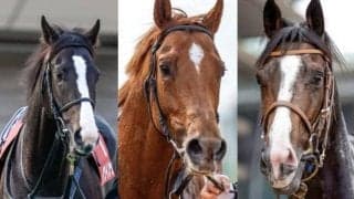 【天皇賞秋】競馬ファン2万6000人に聞いた『最も強いと思う3歳馬』は？