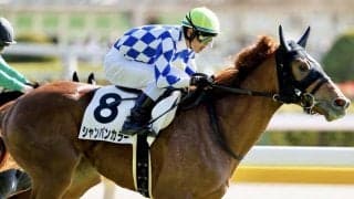 【新馬/東京5R】戸崎圭がJRA1300勝！シャンパンカラーがデビューV