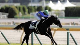 【新馬/東京4R】エピファネイア産駒 ルミノメテオールがデビューV