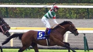 絶好調の複コロ、天皇賞・秋は！？