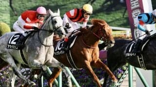 【紅葉S】ウイングレイテストがゴール前の接戦を制する