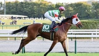 【アルテミスS】坂井「身体能力高い」ラヴェルがデビュー2連勝