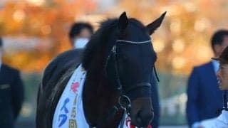 【スワンS】ダイアトニックが鮮やかに抜け出す