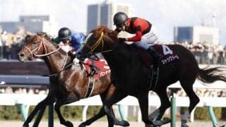 【天皇賞・秋予想】秋の古馬王道路線が開幕 定量GIらしく堅い決着が目立つ