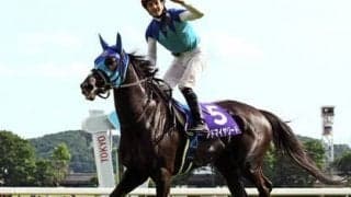 ＧＩ馬アドマイヤリードの弟、ディンディンドン。「背中の感触がいい」とスタッフは高評価