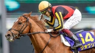 【天皇賞・秋予想】1＆2番人気バッサリの馬券作戦は成り立たず？ 例年とは異質のメンバーで狙うべき傾向は？