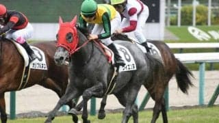【阪神4R新馬戦結果】エピファネイア産駒ヴィエンヌが追い込みを決めてデビュー勝ち