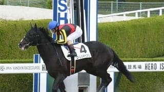 【阪神6R新馬戦結果】ジャスタウェイ産駒のローレルキャニオンが4馬身差で初陣を飾る