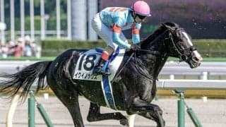 【天皇賞・秋・馬体重】イクイノックスは488kg(+4)、シャフリヤールは456kg(前計不)