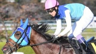 【JRA・WIN5】1番人気3勝、2番人気2勝で配当は18万6010円に