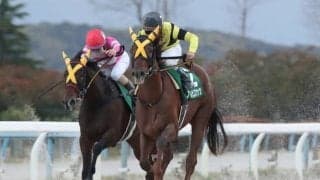 【金沢・兼六園ジュニアC結果】ノブノビスケッツが長く脚を使って差し切る