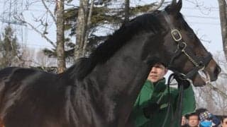 43時間の輸送を経て愛オークス馬が来日 エリザベス女王杯出走へ