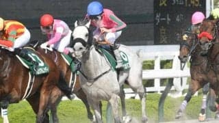 【みやこS】オメガパフューム、タイセイドレフォンなどが登録