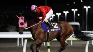 JpnI馬2頭が出走するハンデ重賞/大井・サンタアニタT枠順