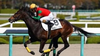 【新馬/阪神5R】ユーバーレーベン全弟、マイネルエンペラーが最内を突き抜ける