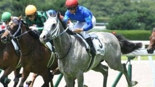 【京王杯2歳S】ヤクシマ、ミスヨコハマなどが登録