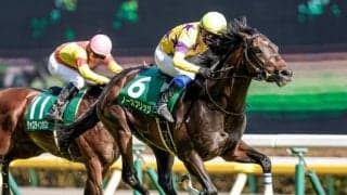 10月30日の競走中止、疾病の一覧 岩田康誠騎手の騎乗停止など/東京・阪神・新潟