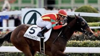 【新馬/東京4R】パライバトルマリンが5馬身差圧勝