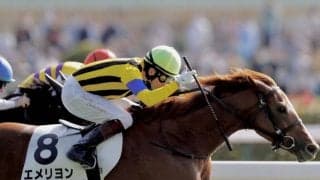 【新馬/東京5R】ドゥラメンテ産駒 エメリヨンが人気に応える