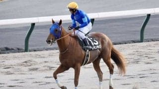 【ペルセウスS】レモンポップが4連勝