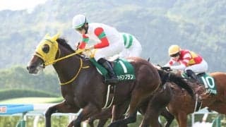 【京王杯2歳S登録馬】ロンドンプランなど19頭