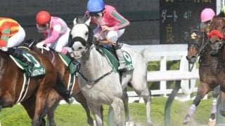 【みやこS見どころ】東京大賞典4連覇中のオメガパフュームが秋初戦を迎える