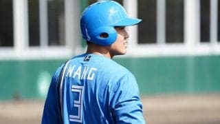 日本ハム、王柏融の退団を発表　台湾で2年連続4割も…在籍4年で打率.235、14本塁打