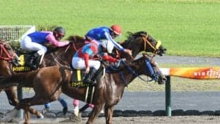 今週米G1出走予定の日本馬が現地に到着 「順調に輸送できました」