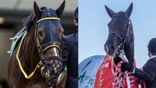 【アルゼンチン共和国杯想定騎手】テーオーロイヤルは引き続き菱田騎手、キラーアビリティはC.デムーロ騎手と初コンビ